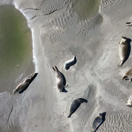 L'art Du Bonheur Proche De La Baie De Somme * Béhen